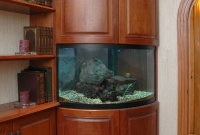 Radius Fish Tank