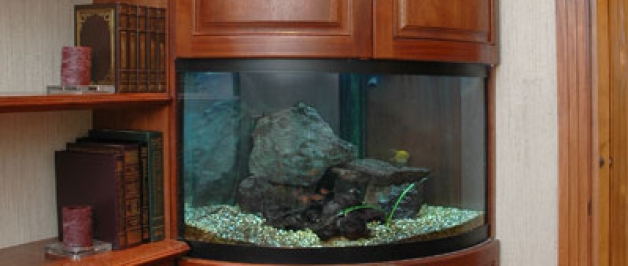 Radius Fish Tank